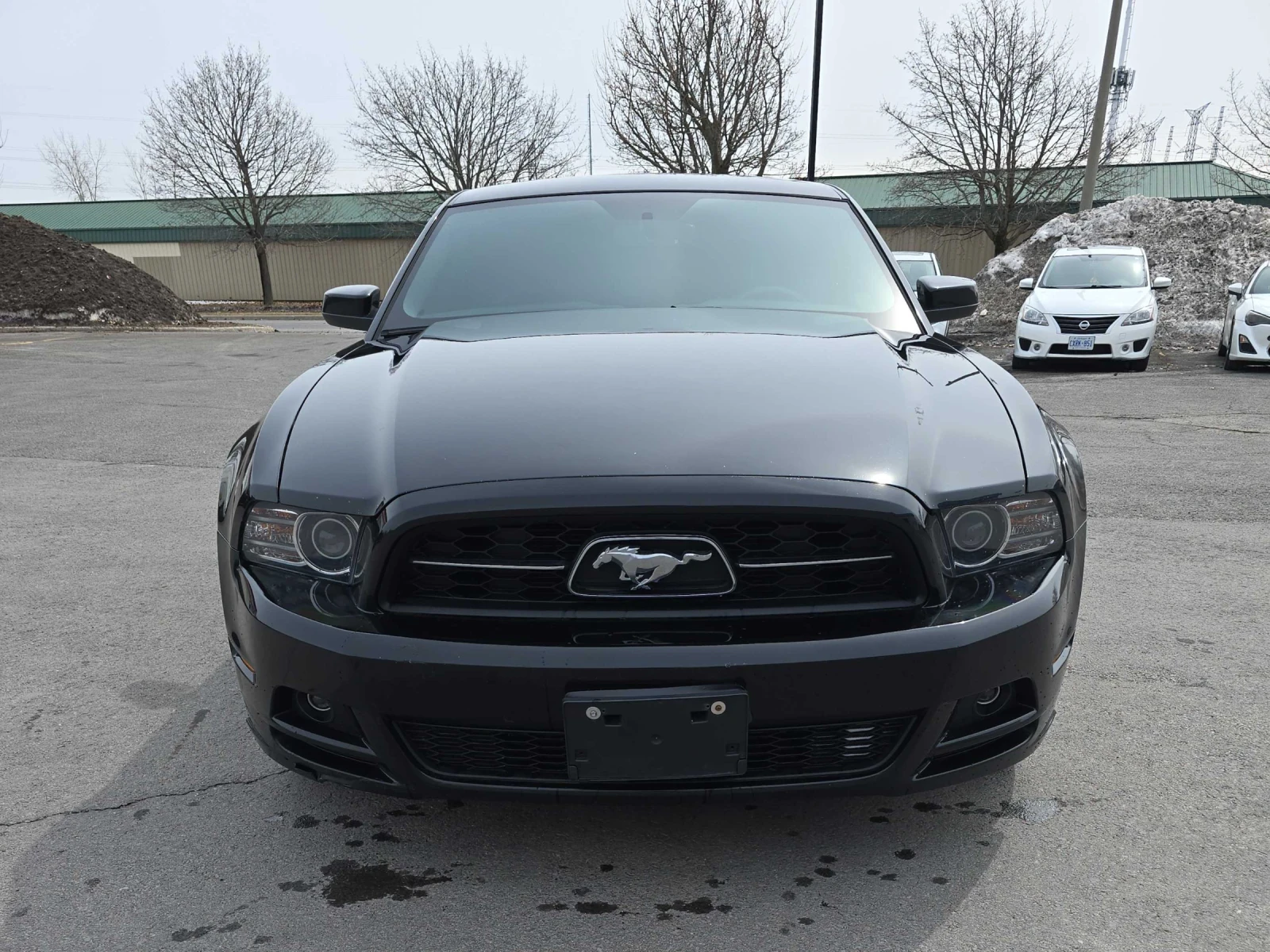 Ford Mustang 3.7 V6 * РЪЧКА * ПОДГРЕВИ * ЧЕРЕН КОЖЕН САЛОН , снимка 2 - Автомобили и джипове - 54082748
