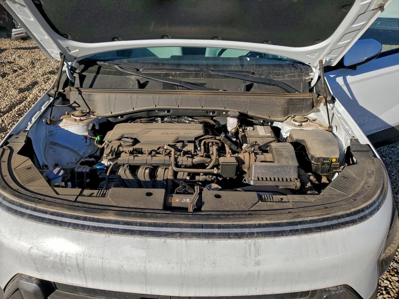 Hyundai Kona SEL* DIGITAL* �������* BUY NOW | Mobile.bg � ����������� 12