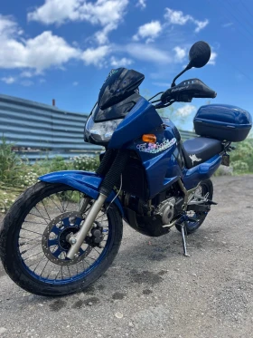  Kawasaki Kle