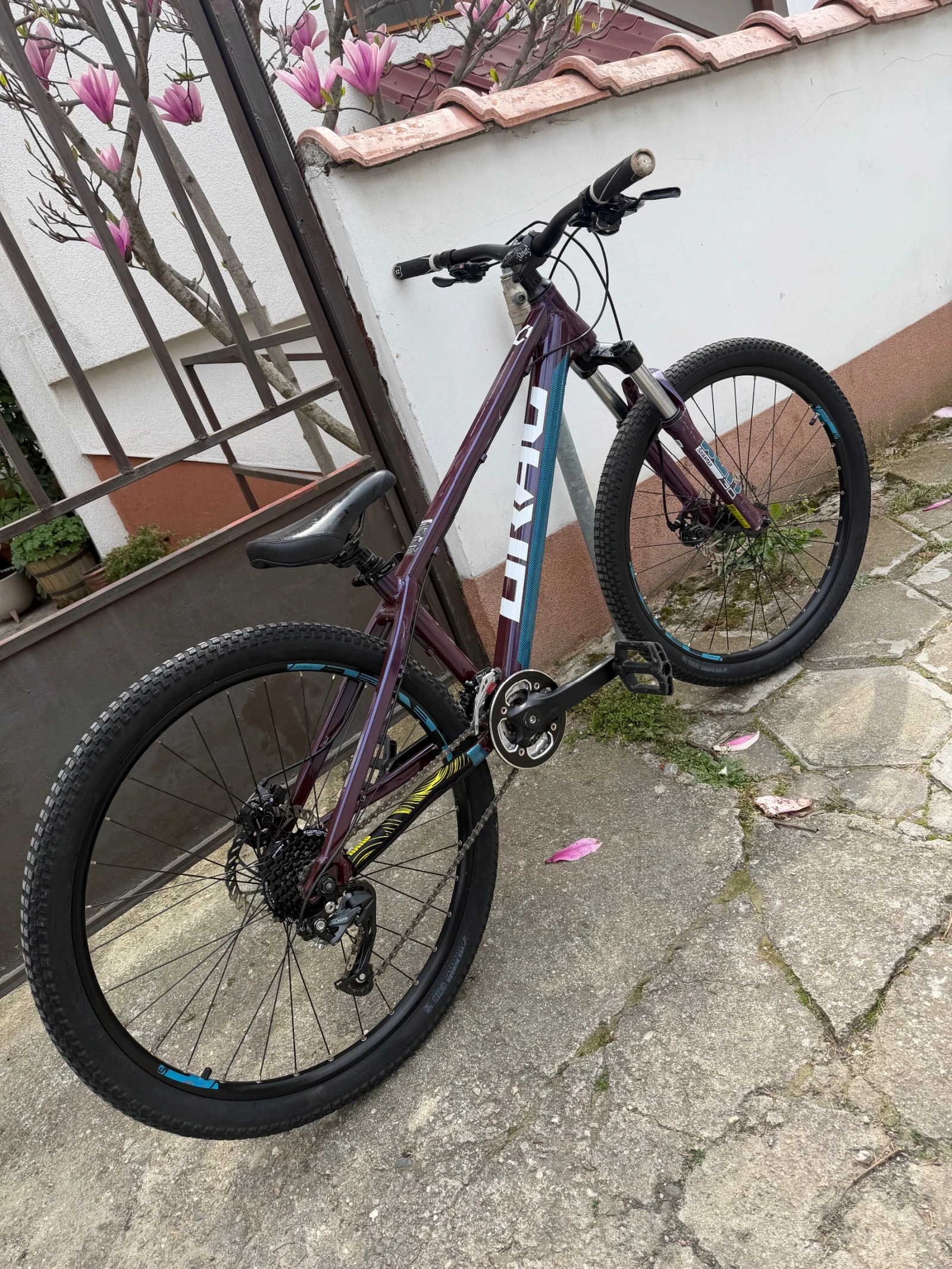 ������� Drag C1 | Mobile.bg � ����������� 1