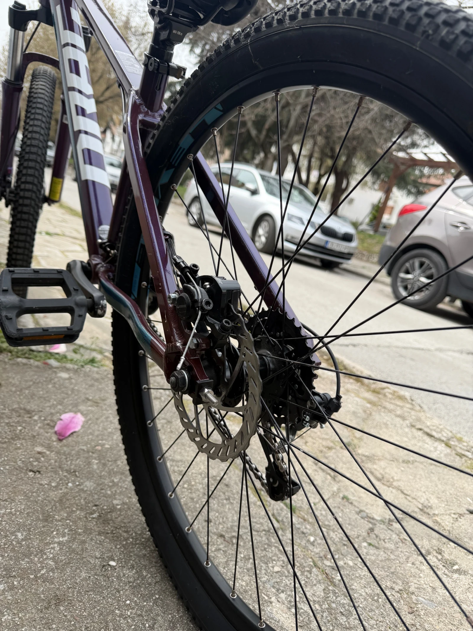 ������� Drag C1 | Mobile.bg � ����������� 6