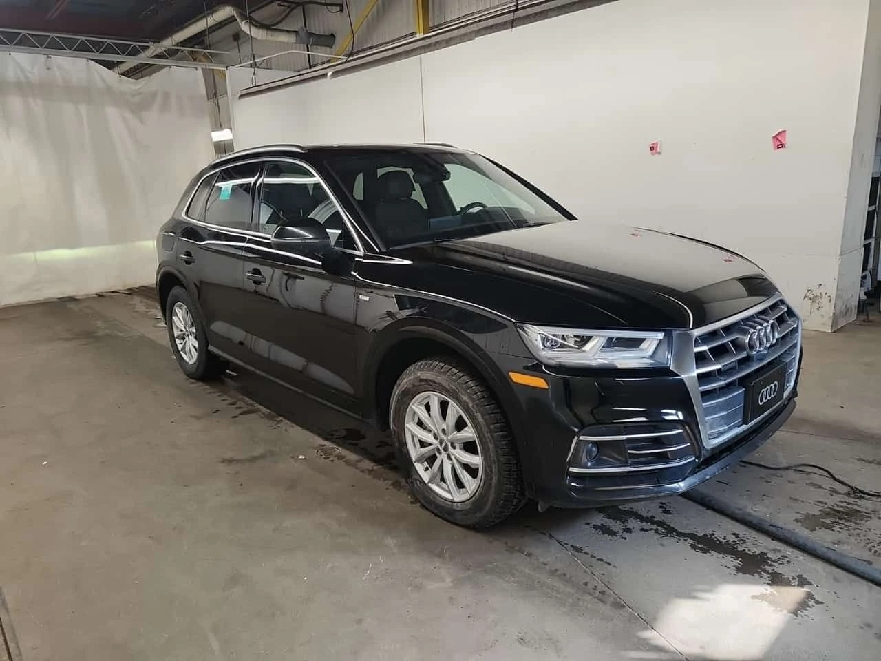Audi Q5 * PROGRESSIV * CARFAX * ПАНОРАМА * 360 КАМЕРА * , снимка 2 - Автомобили и джипове - 53991098