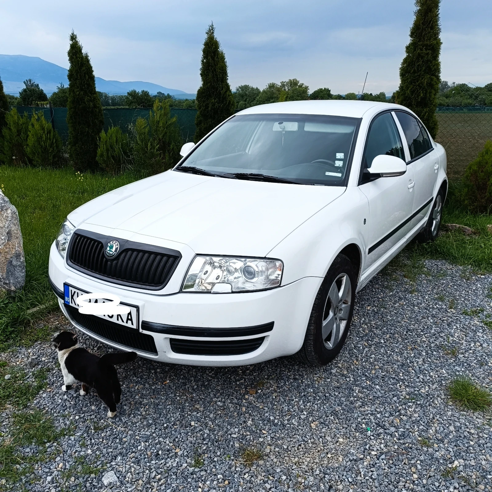 Skoda Superb 1.9 - изображение 5