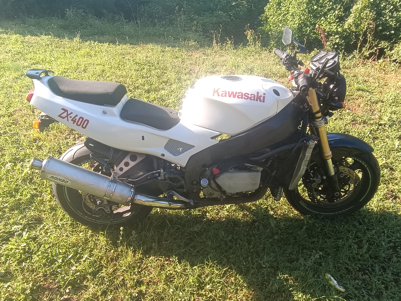 Kawasaki Zxr 400, снимка 2 - Мотоциклети и мототехника - 55256460