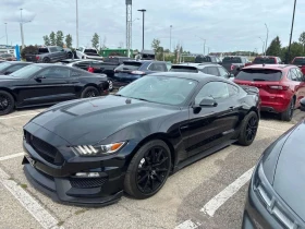 ������ Ford Mustang