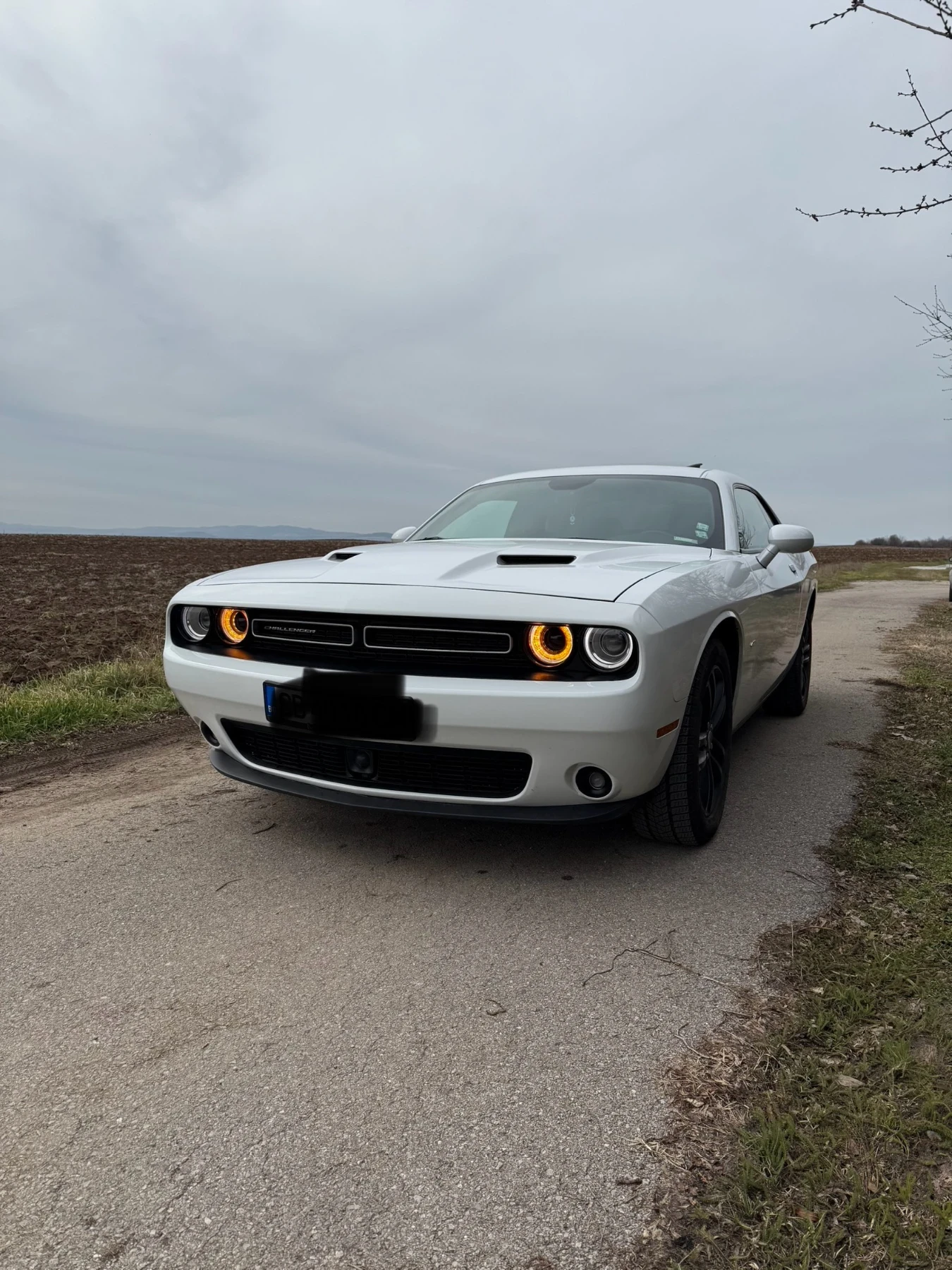 Dodge Challenger GT AWD 3.6 | Mobile.bg � ����������� 1