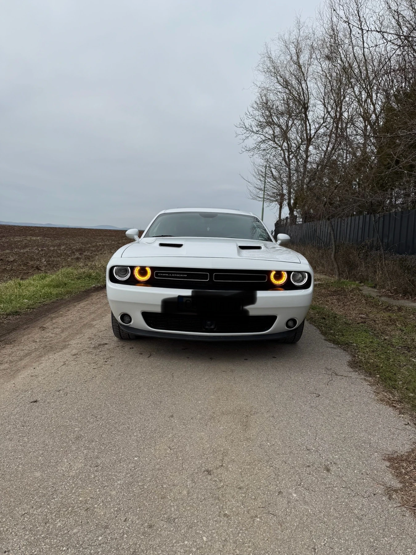 Dodge Challenger GT AWD 3.6 | Mobile.bg � ����������� 2