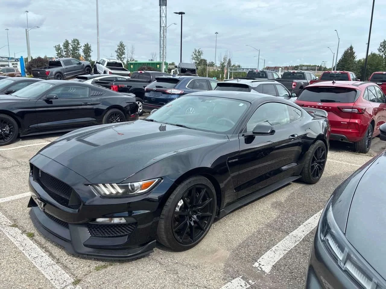 Ford Mustang