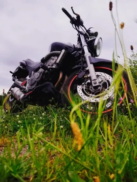 Honda Hornet | Mobile.bg    3