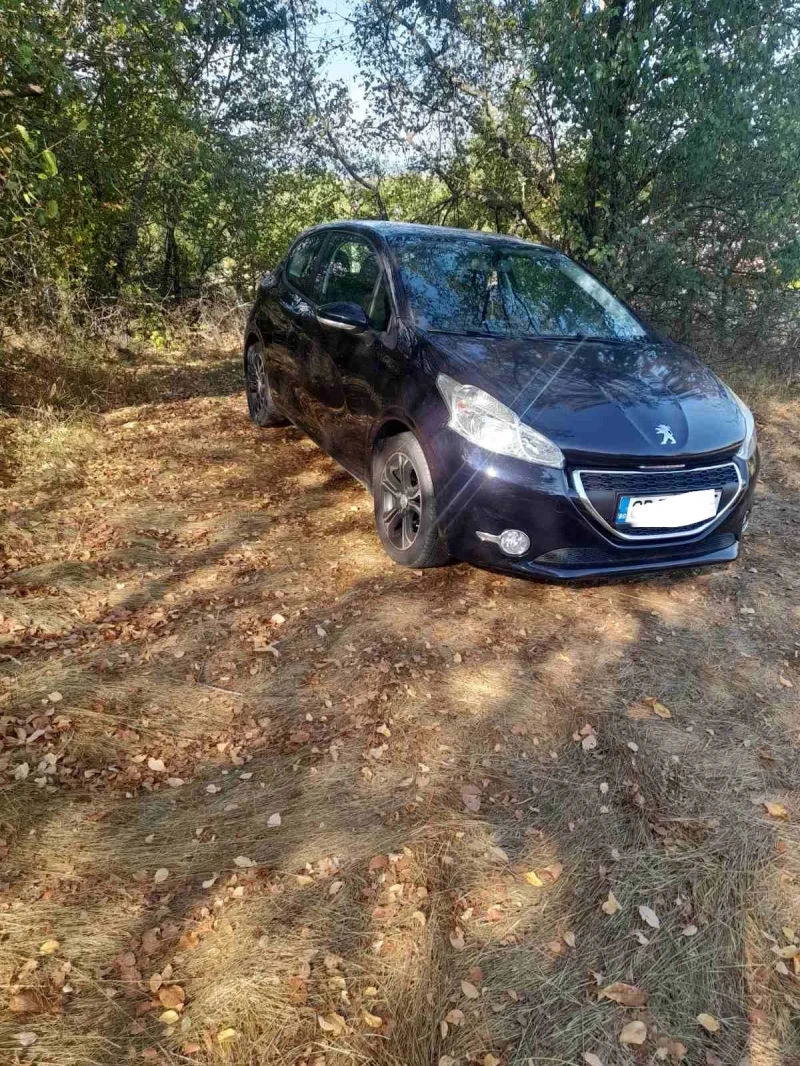 Peugeot 208, снимка 1 - Автомобили и джипове - 47017322