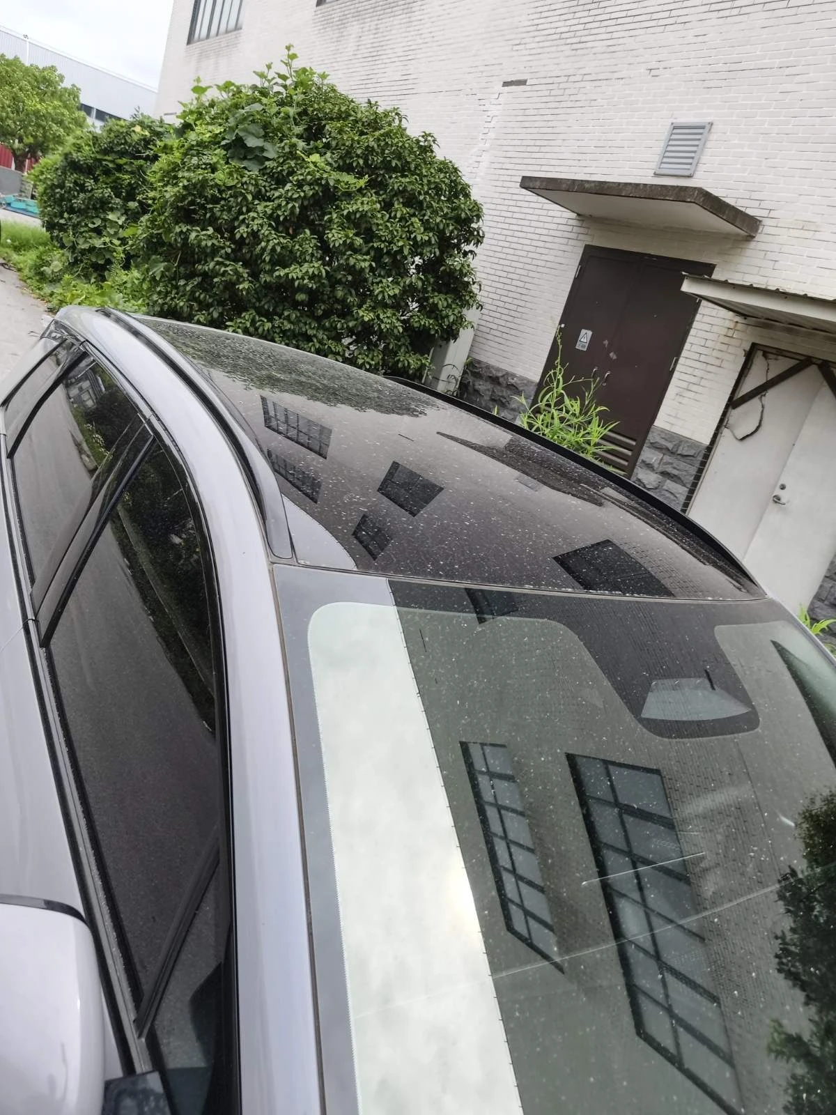 BYD Sea Lion 06 05 RWD 60.9kWh НАЛИЧЕН 10.2026, снимка 6 - Автомобили и джипове - 55653122
