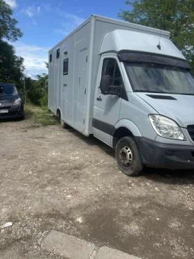 Кемпер Mercedes-Benz Кемпер за коне, снимка 2