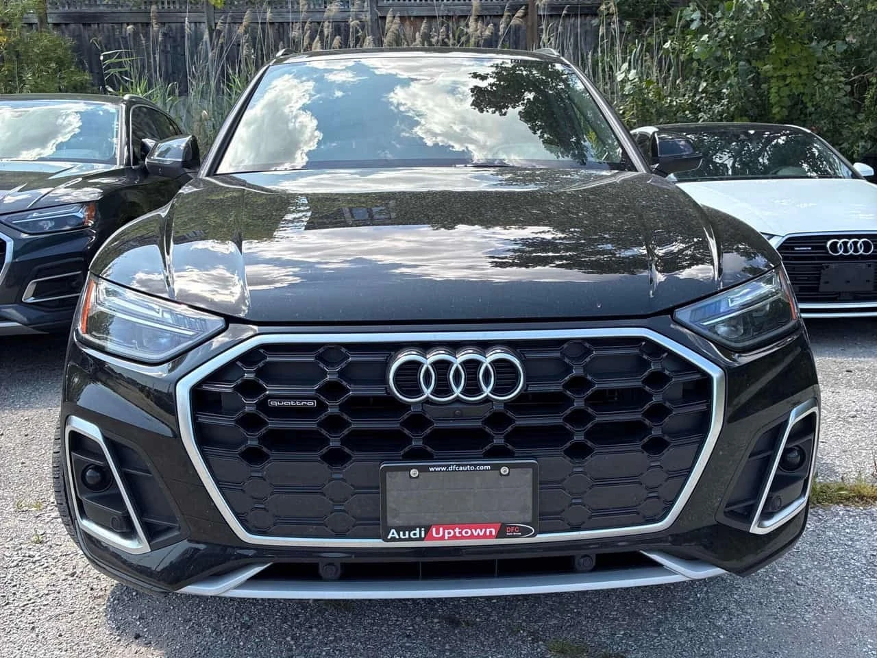 Audi Q5 * Progressiv * CARFAX * ОПЦИЯ ЗА ФИНАНСИРАНЕ, снимка 6 - Автомобили и джипове - 55772010
