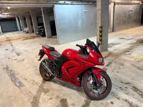 Kawasaki Ninja, снимка 1