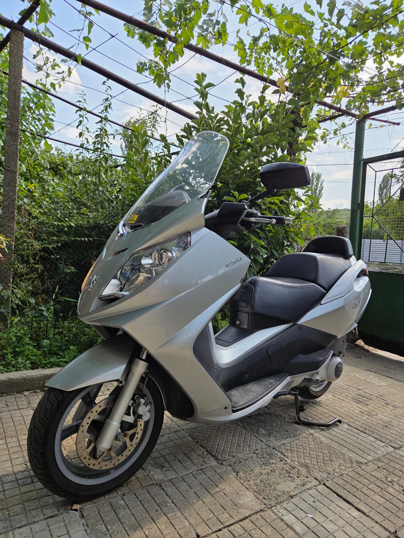 Peugeot Satelis 250 - изображение 5