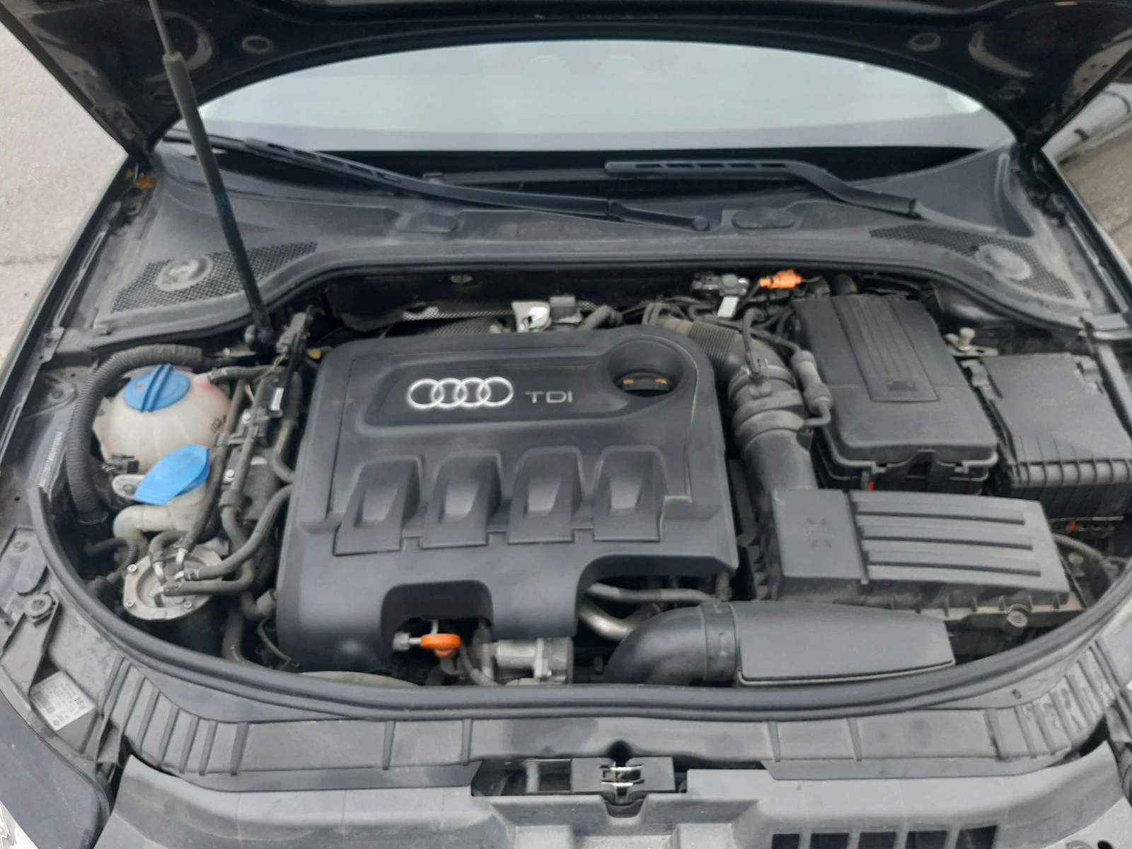 Audi A3 2.0TDI 140ks. | Mobile.bg   16