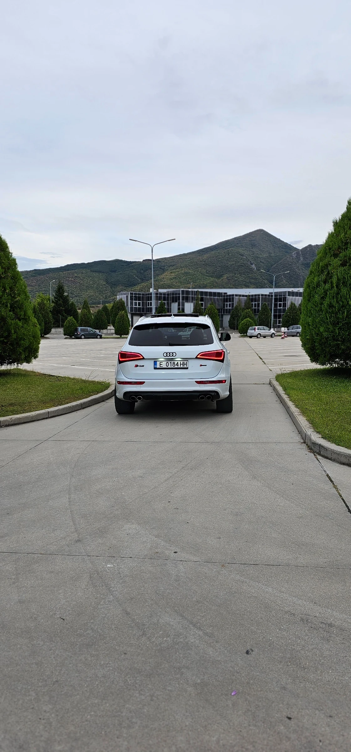 Audi SQ5  - изображение 6