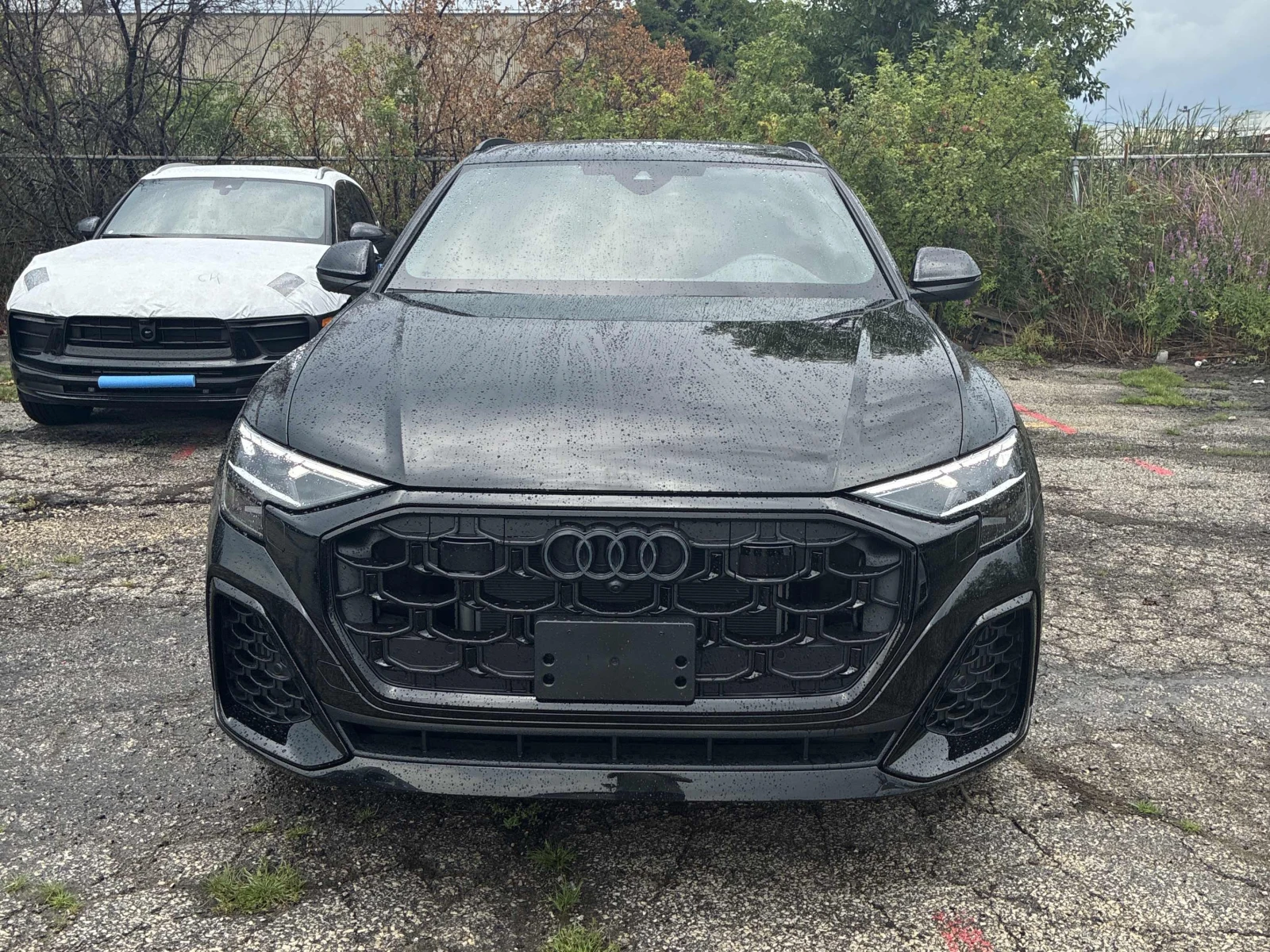 Audi Q8, снимка 6 - Автомобили и джипове - 55689767