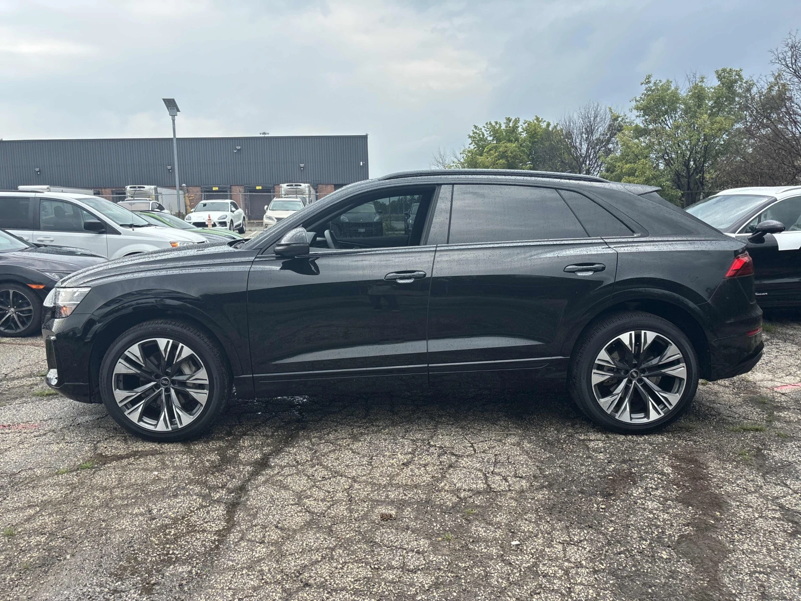 Audi Q8, снимка 2 - Автомобили и джипове - 55689767