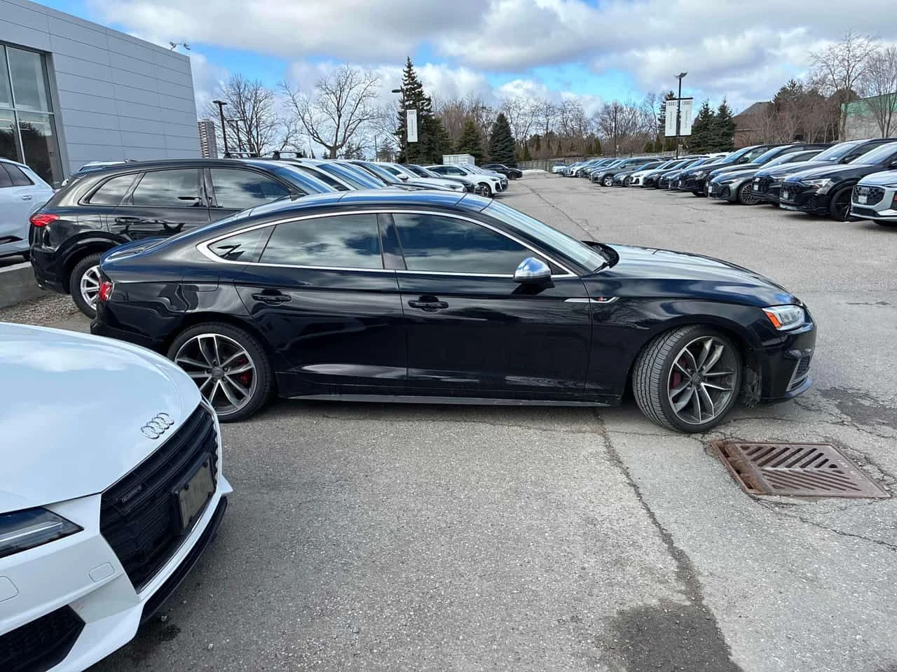 Audi S5 * Technik * CARFAX * ОТ ПРЕДСТАВИТЕЛСТВО, снимка 3 - Автомобили и джипове - 53819044