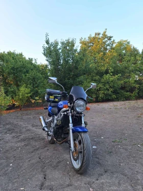 Suzuki SV, снимка 2
