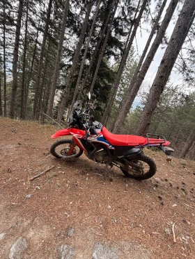 Honda Crf 300 rally, снимка 4