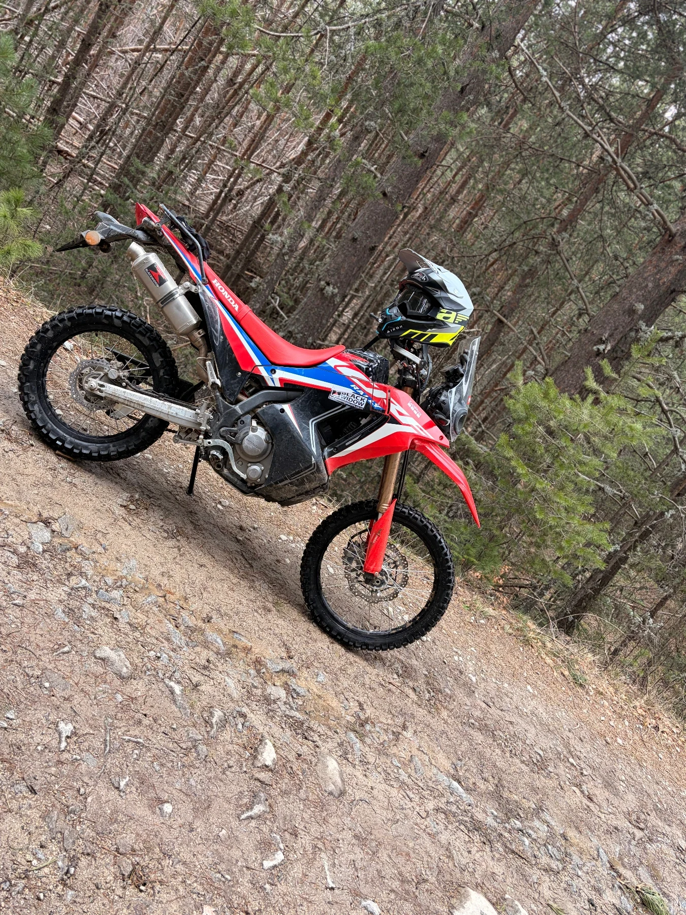 Honda Crf 300 rally | Mobile.bg � ����������� 10