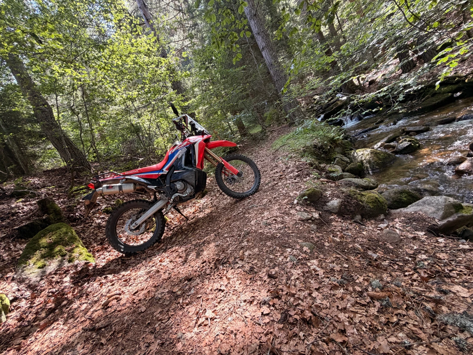 Honda Crf 300 rally | Mobile.bg � ����������� 5