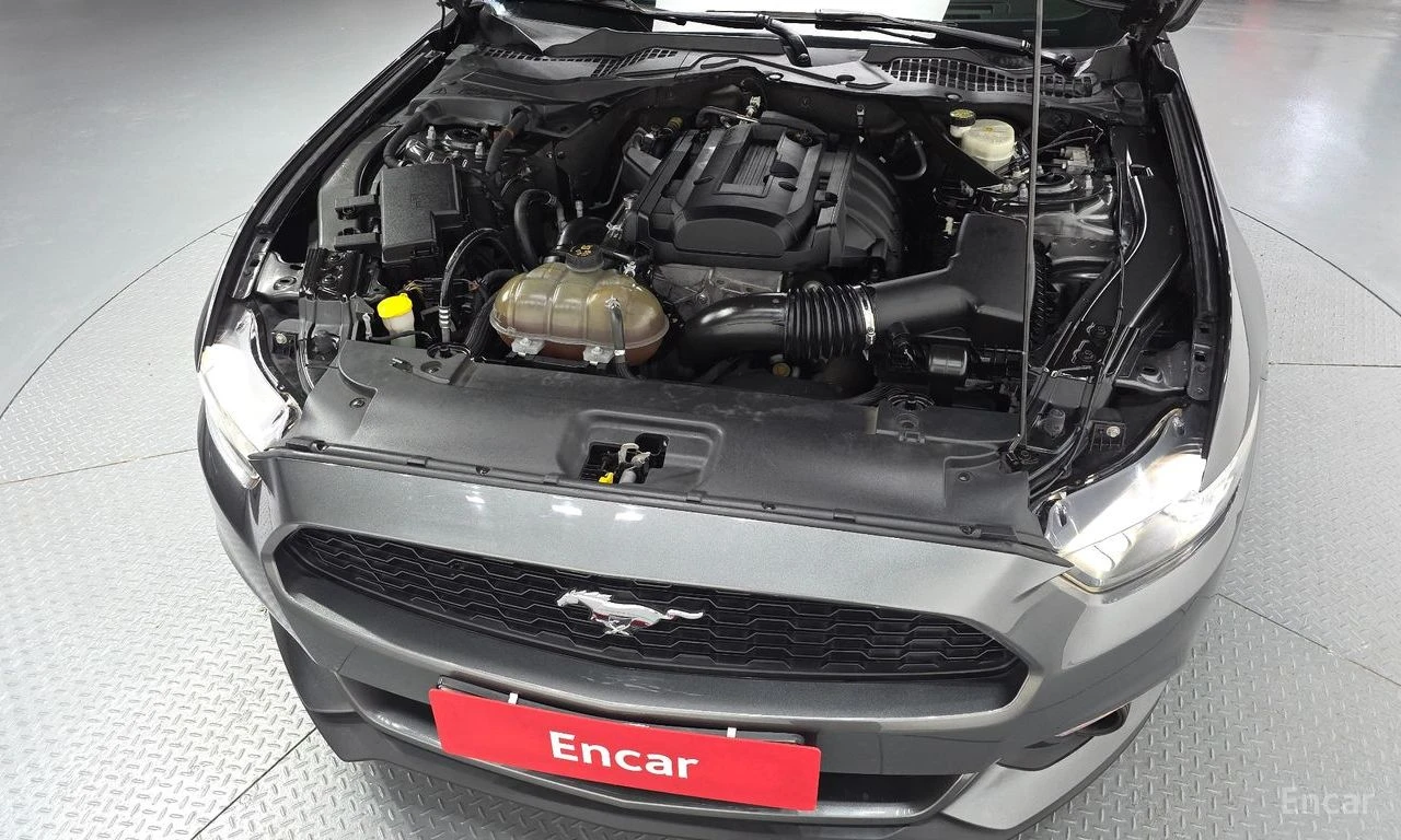 Ford Mustang 2.3* ECO* BOOST* ПОДГРЕВ* КАМЕРА* КЕЙЛЕС, снимка 17 - Автомобили и джипове - 54643937