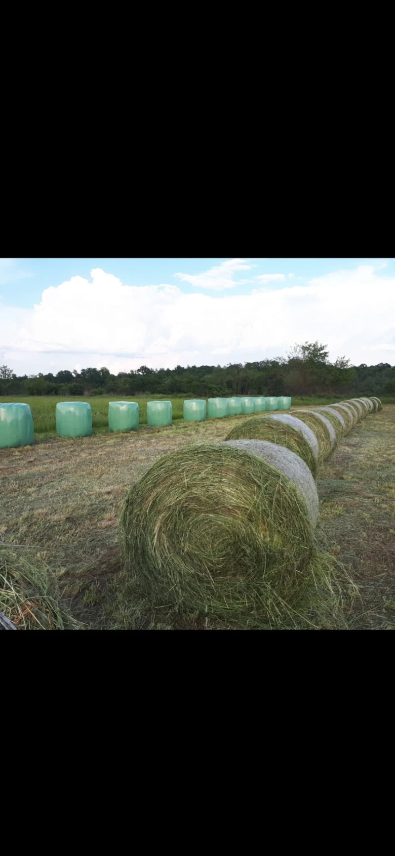 Балировачка John Deere PRONAR Z246, снимка 5 - Селскостопанска техника - 52792826