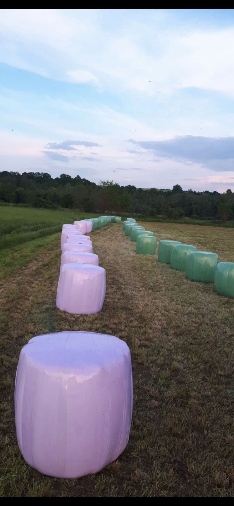 Балировачка John Deere PRONAR Z246, снимка 4 - Селскостопанска техника - 52792826