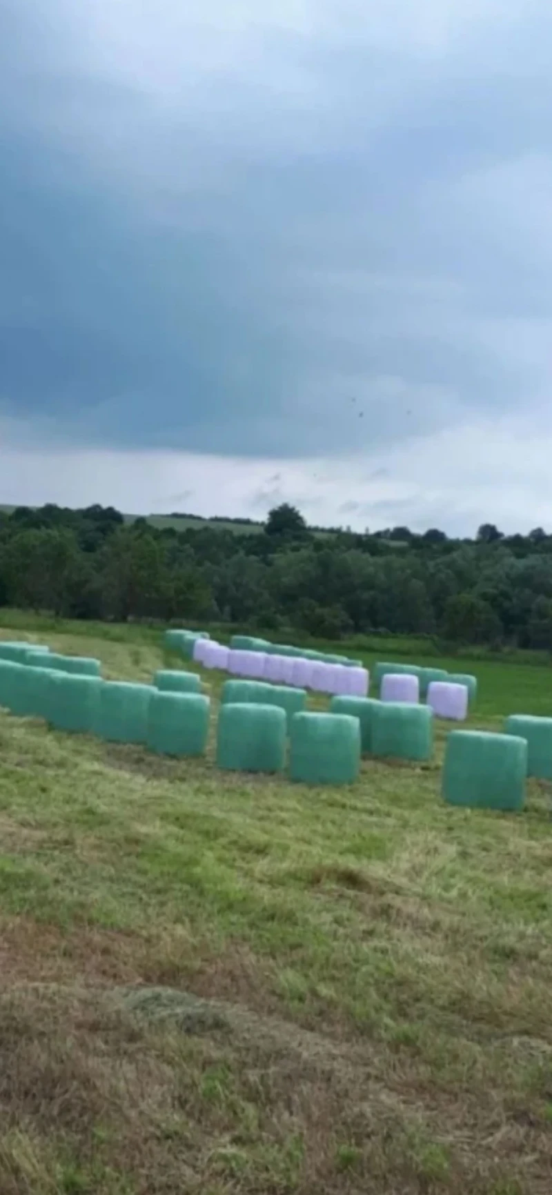 Балировачка John Deere PRONAR Z246, снимка 6 - Селскостопанска техника - 52792826