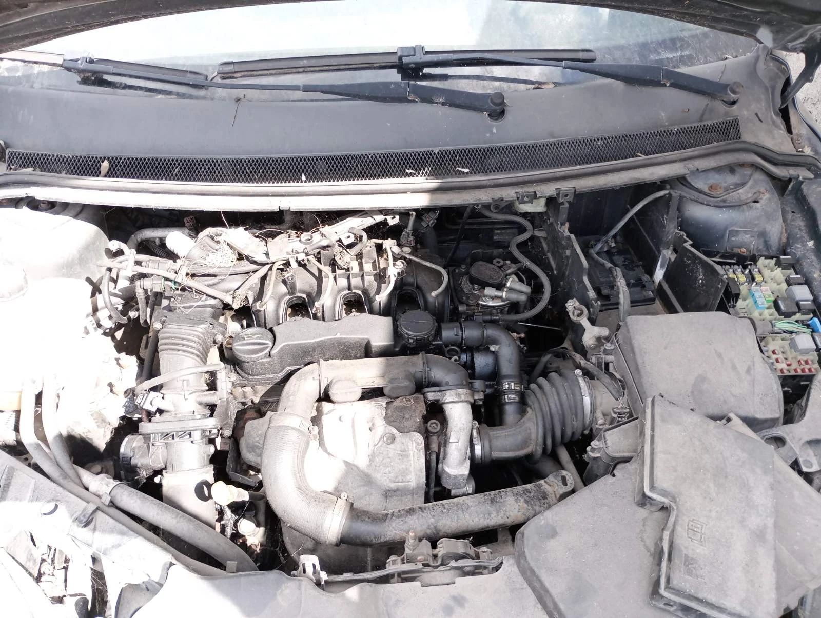 Ford Focus Wagon 1.6 tdci - изображение 5