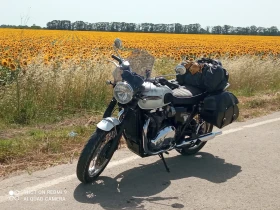 Triumph Bonneville T120 Diamant, снимка 16