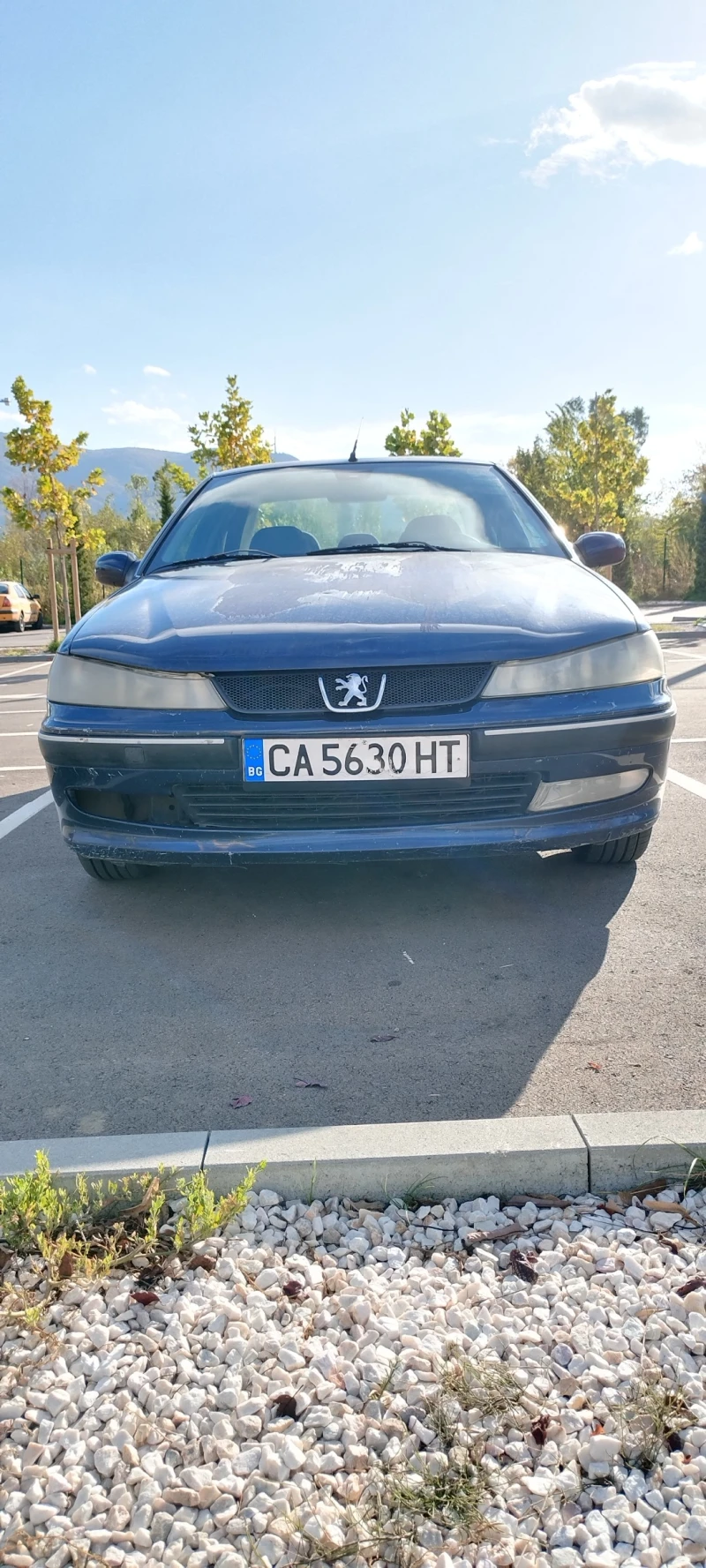 Peugeot 406, снимка 3 - Автомобили и джипове - 47546319