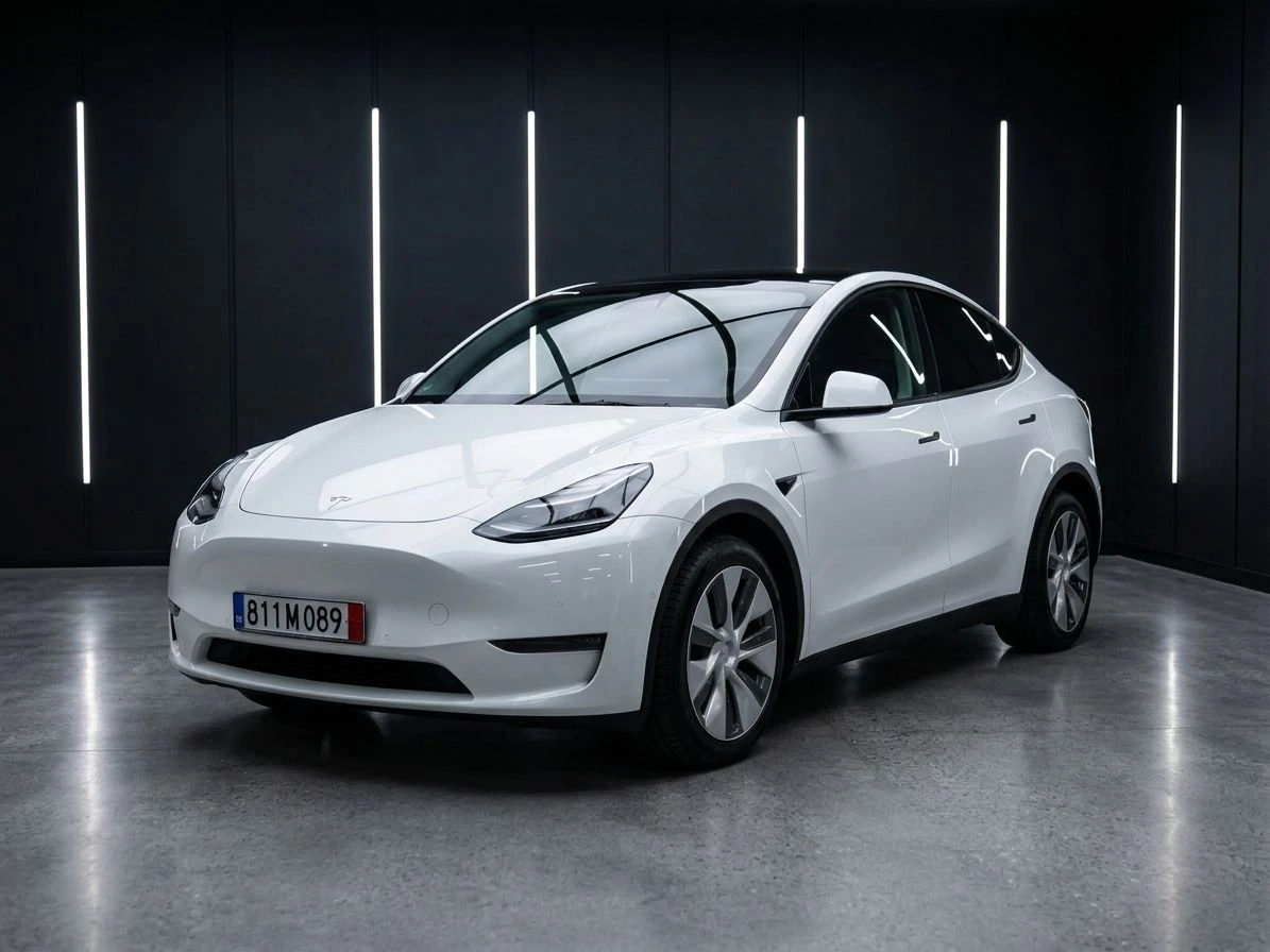 Tesla Model Y Long range  dual motor AMD Гаранция
