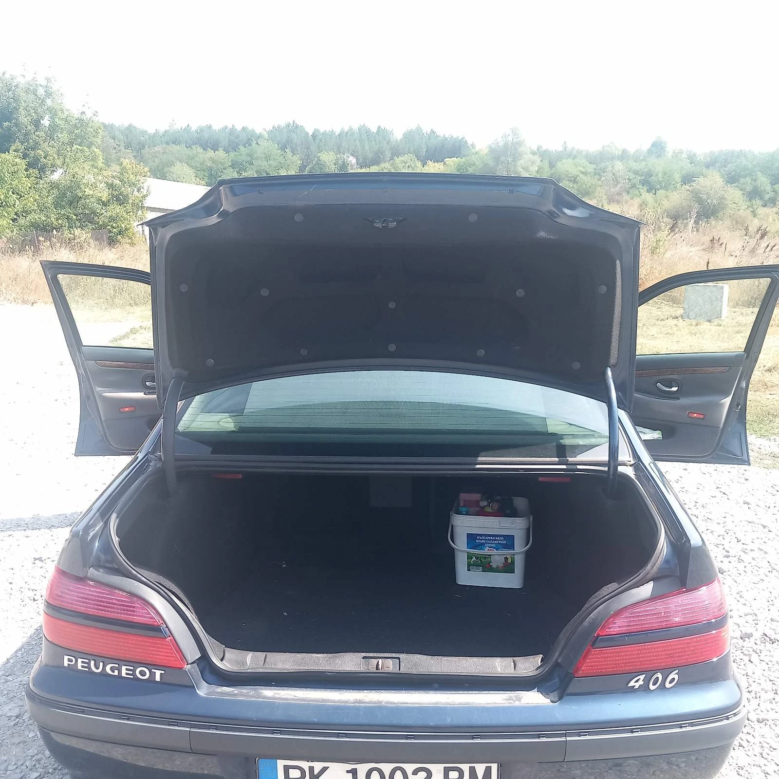 Peugeot 406, снимка 4 - Автомобили и джипове - 55906062