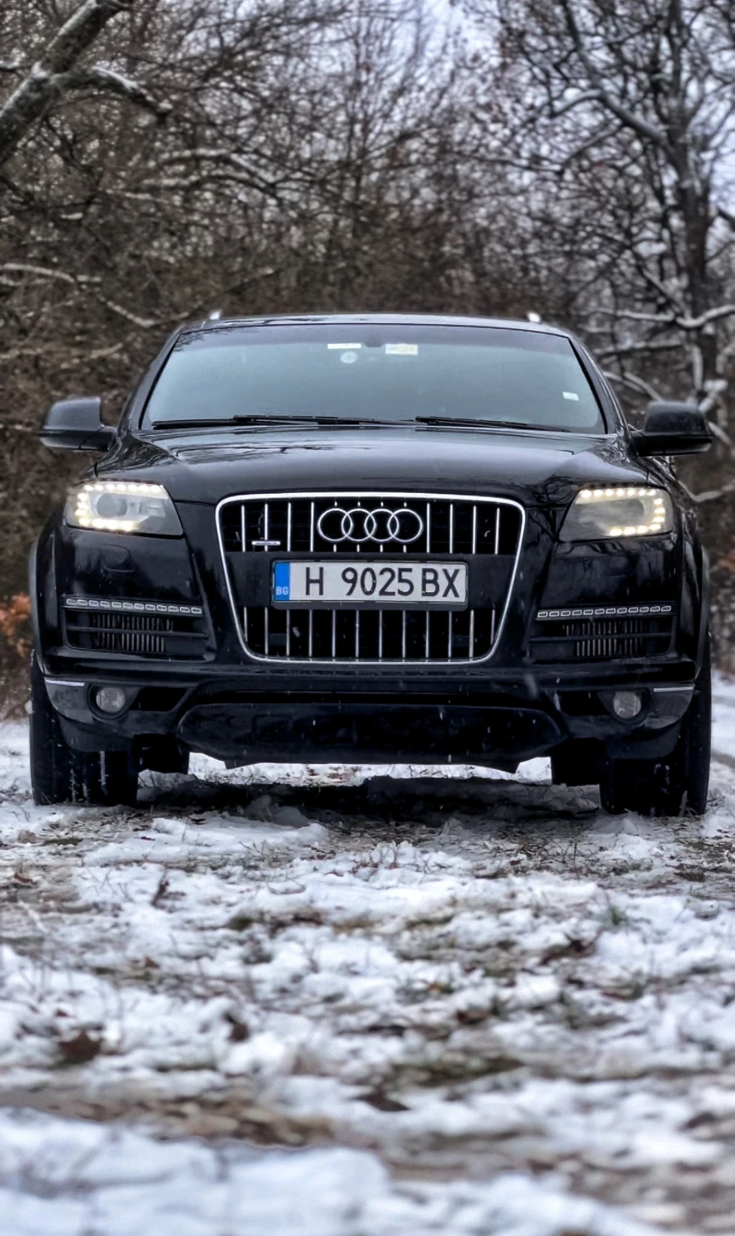 Audi Q7 4.2TDI V8 BiTurbo | Mobile.bg   1