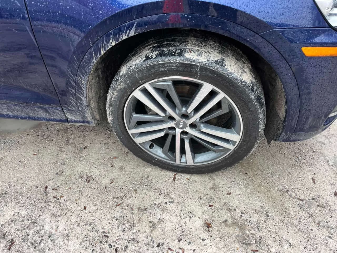 Audi Q5 Progressiv  CARFAX, снимка 7 - Автомобили и джипове - 53845989