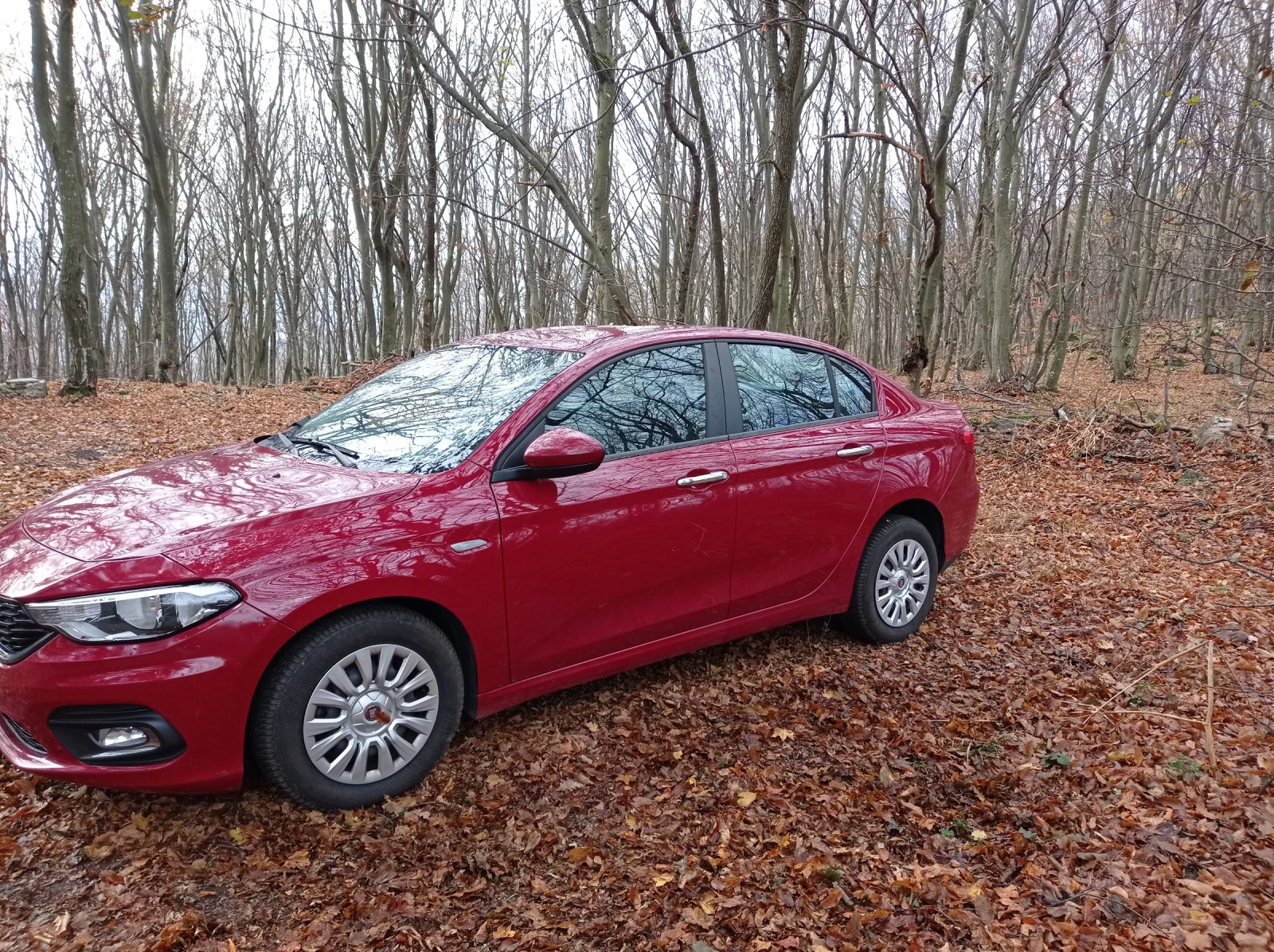 Fiat Tipo 1, 4 - изображение 2