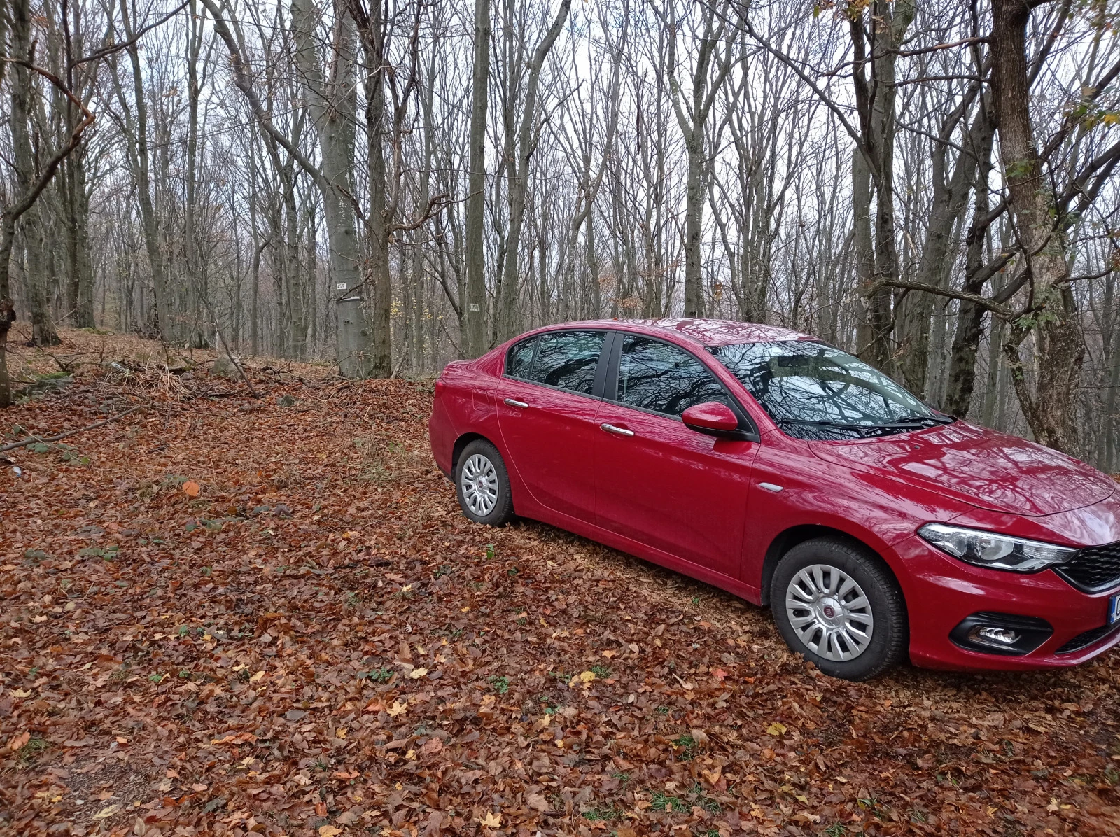 Fiat Tipo 1, 4 - изображение 3