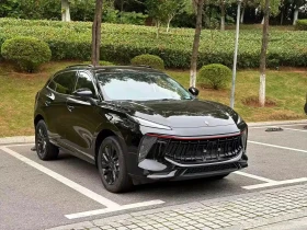 DONGFENG T5-EVO, снимка 3