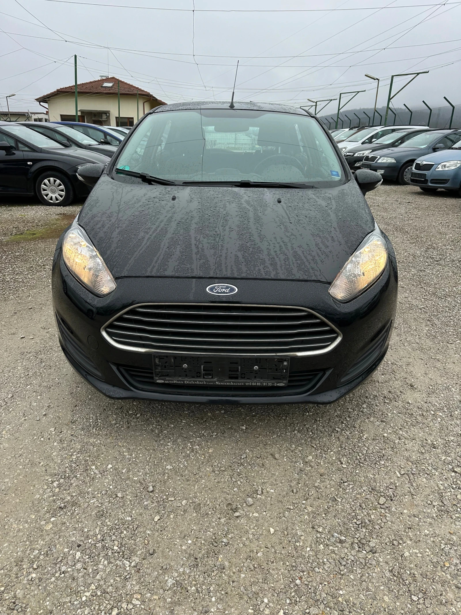 Ford Fiesta 1.6 TDCI - изображение 2