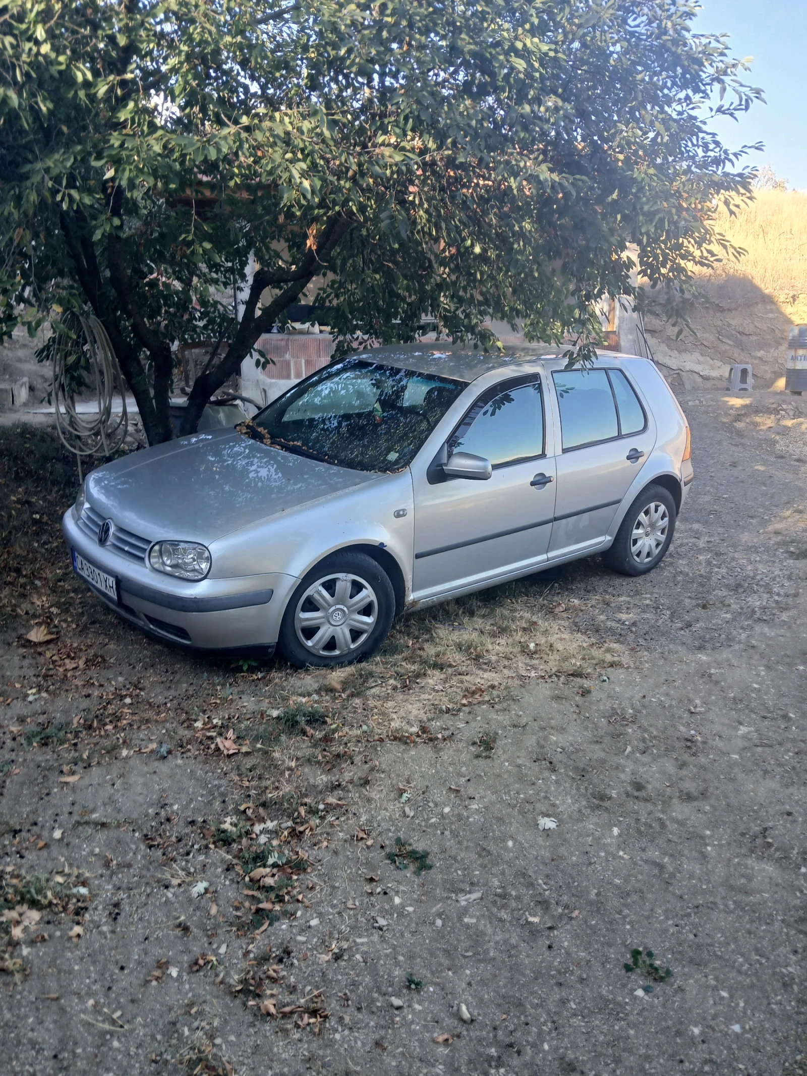 VW Golf