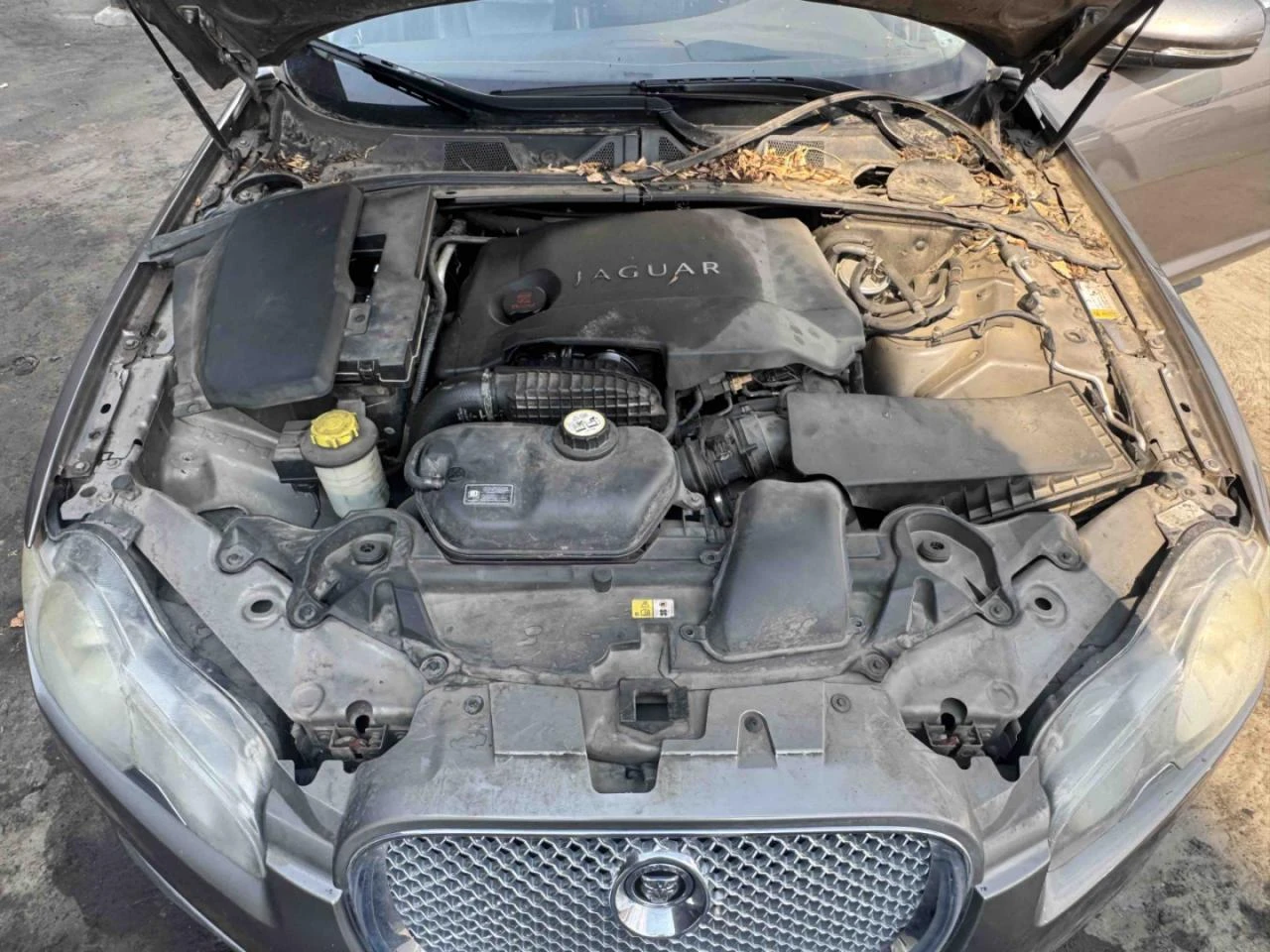 Jaguar Xf | Mobile.bg � ����������� 7