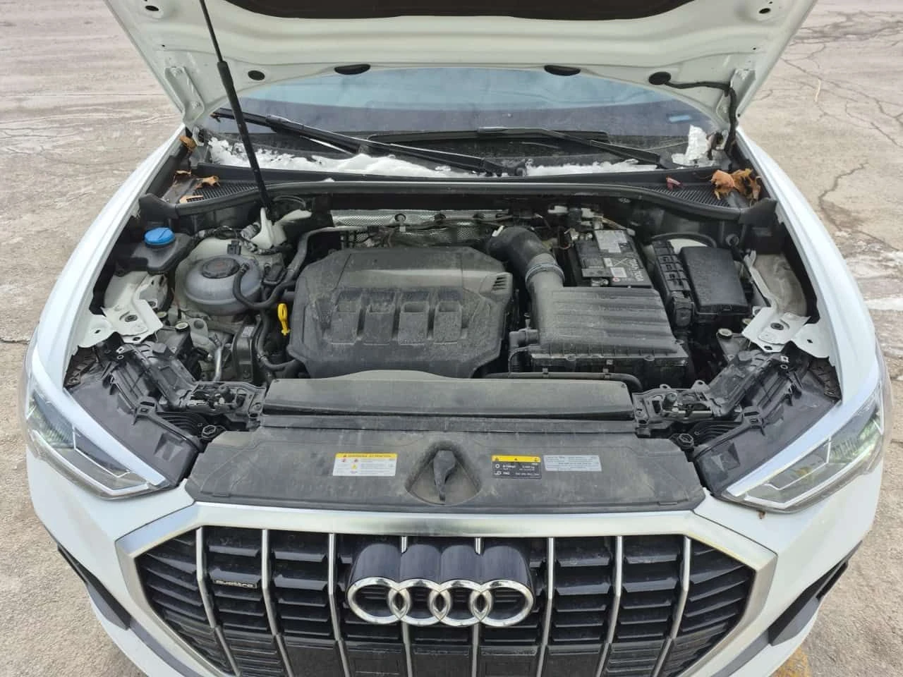 Audi Q3 Quattro* PANORAMA* 2 KEYS* CARFAX  - изображение 8