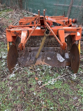 ���� ��� ���� Alpego | Mobile.bg � ����� ������ 6