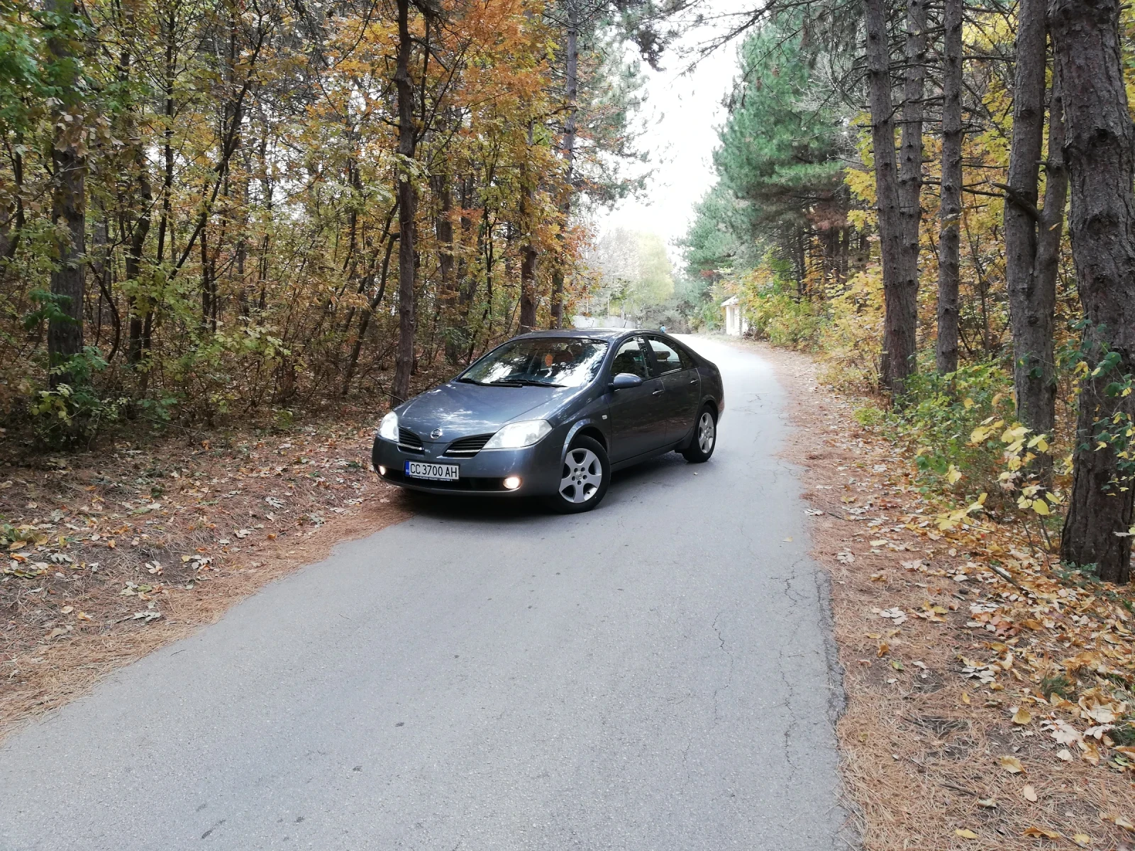 Nissan Primera | Mobile.bg   1