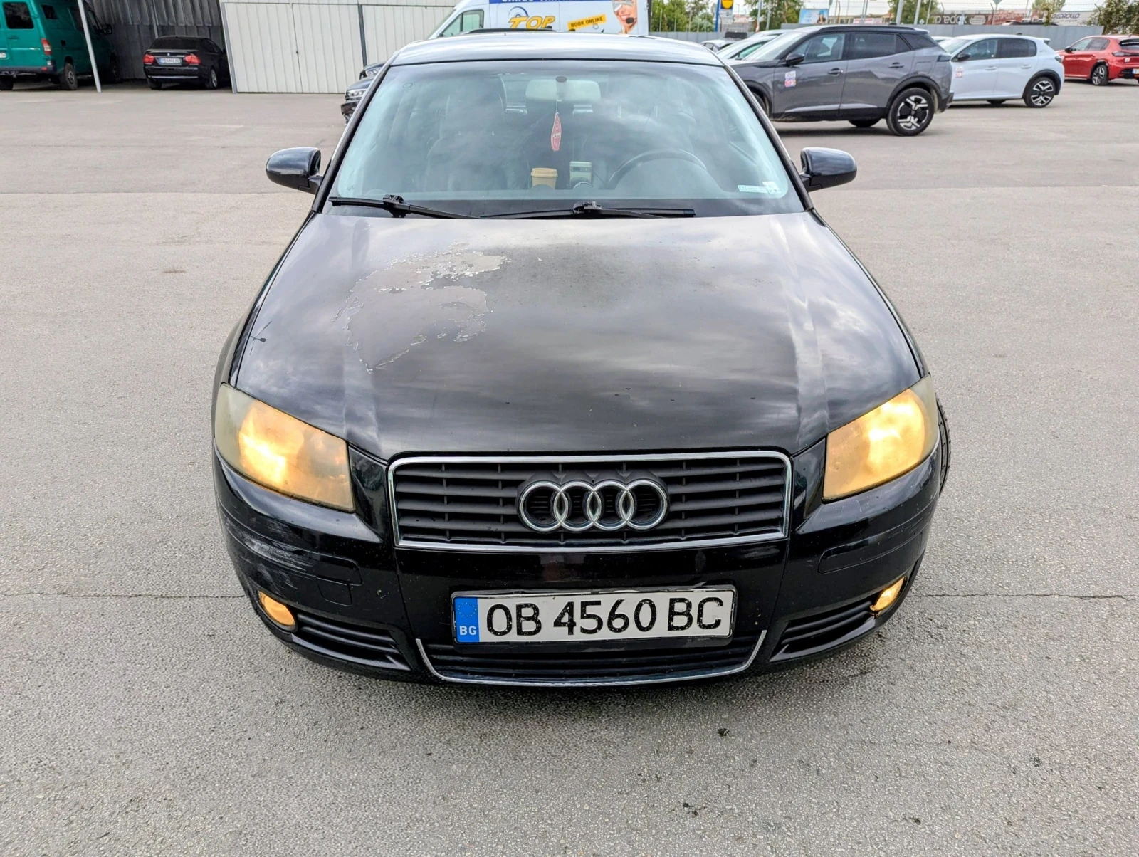 Audi A3 8P - изображение 3