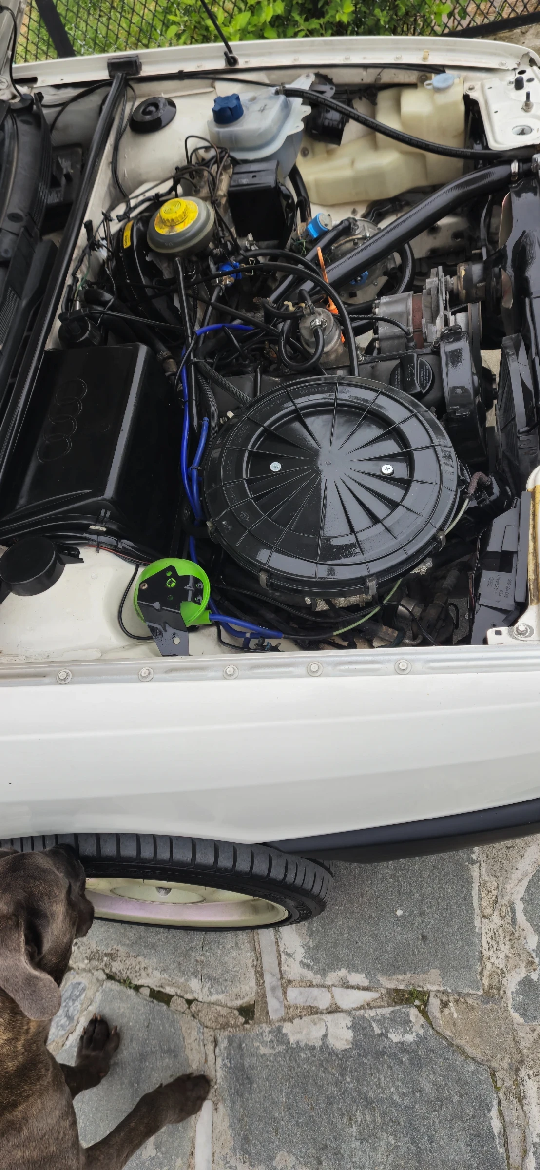 Audi 80  - изображение 6